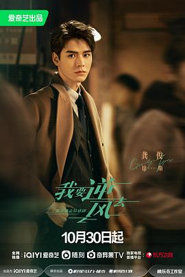 青海seo优化电话